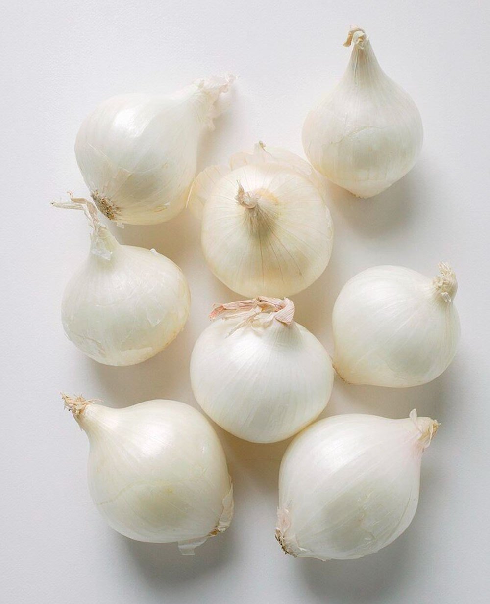 White Onion